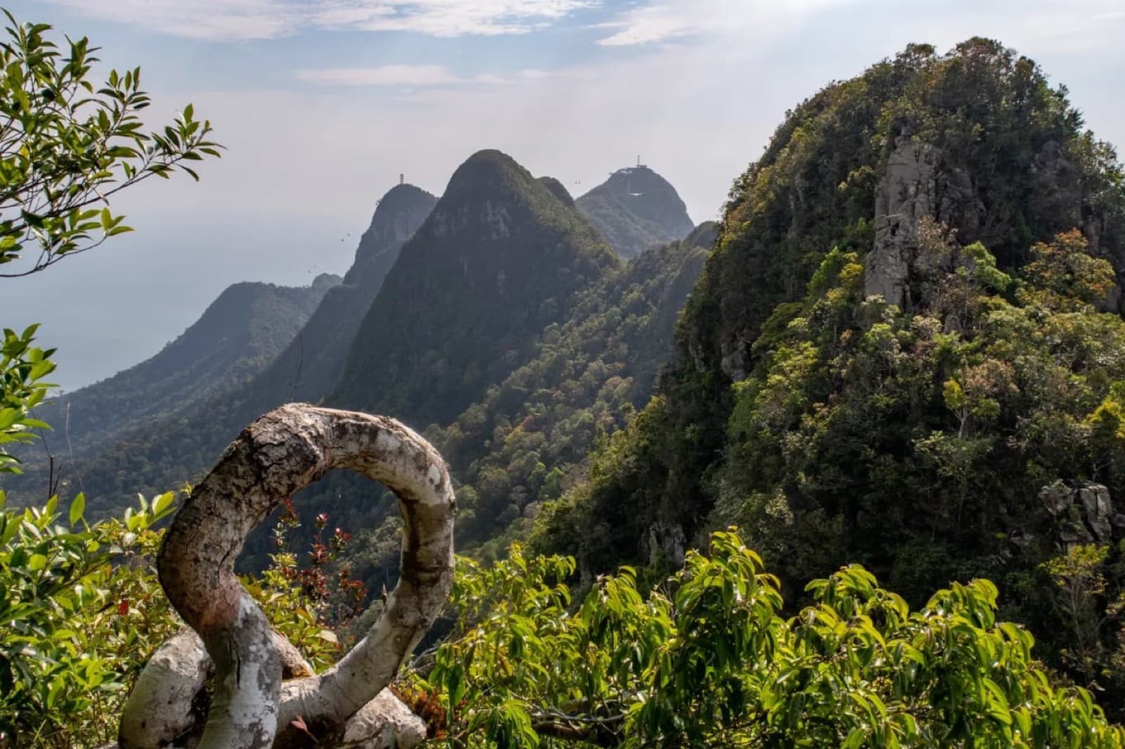 Jungle Trekking Experiences