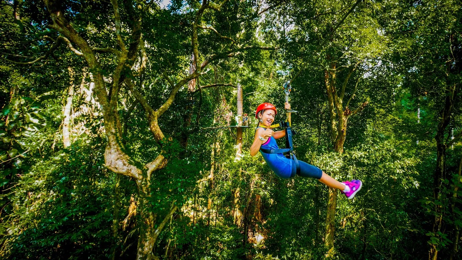 Zipline Experiences