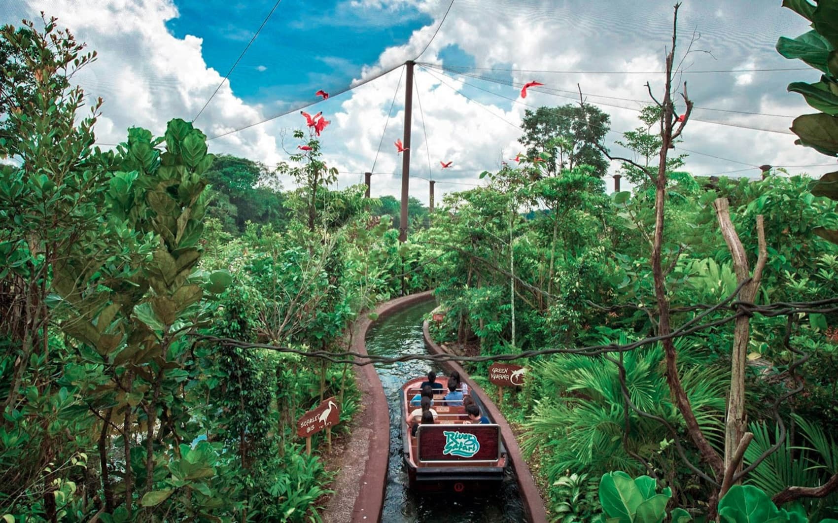Sandakan Tour, In Search Of Proboscis Monkeys And Orangutans
