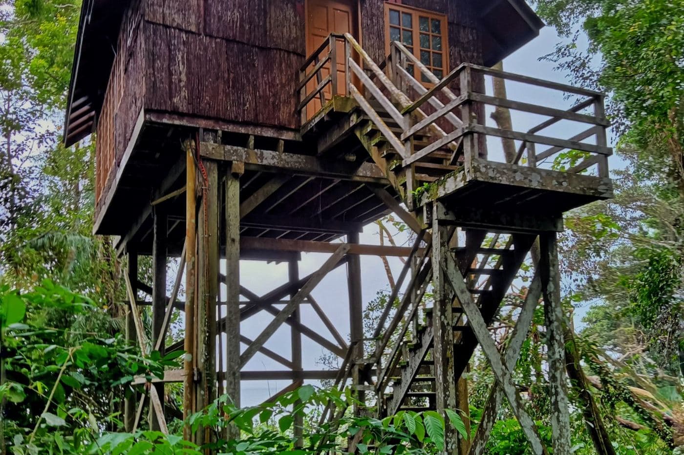 Permai Rainforest Resort