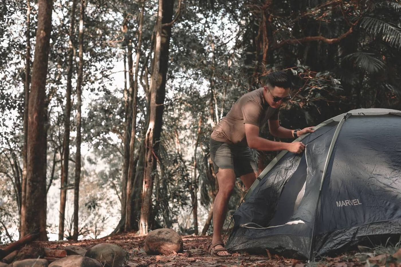 All photos