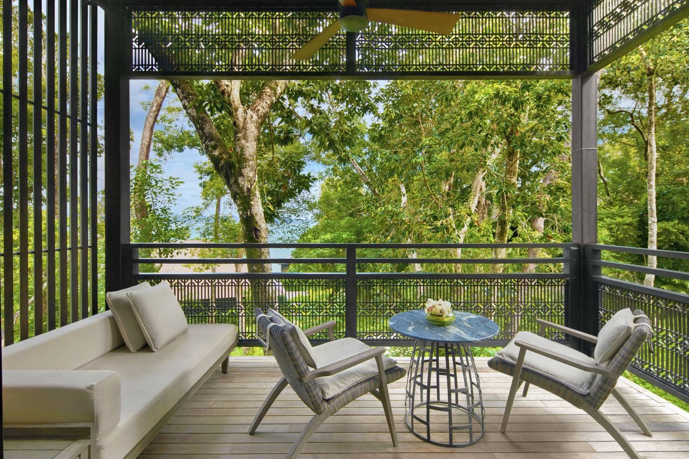 All photos