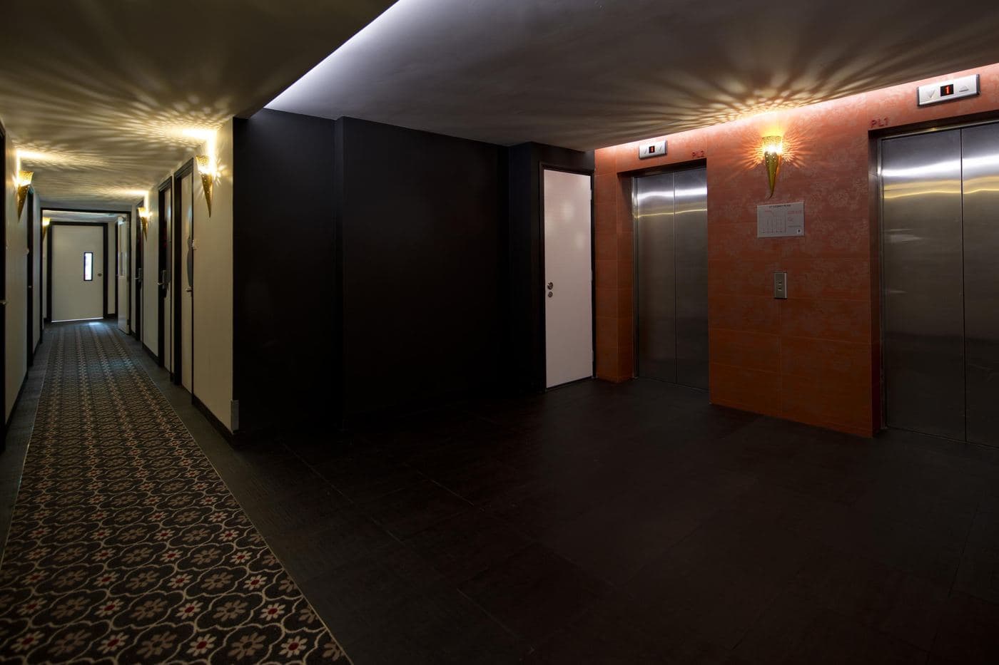 All photos