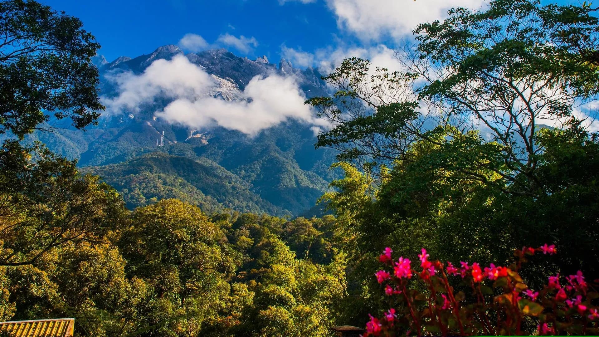 Kinabalu Park & Hot Springs