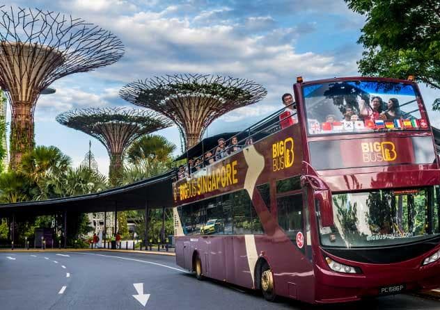 STOP-OVER IN SINGAPORE (RU)