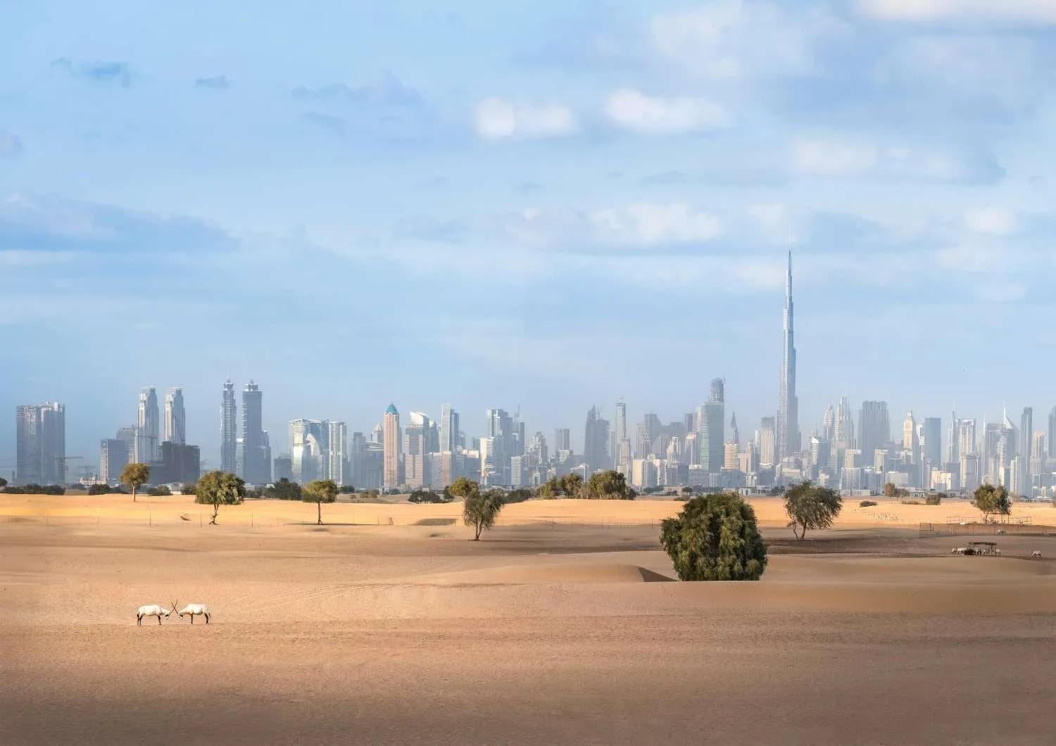 Dubai in January beach and skyline-best time to visit dubai