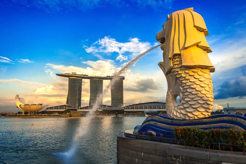STOP-OVER IN SINGAPORE (RU)