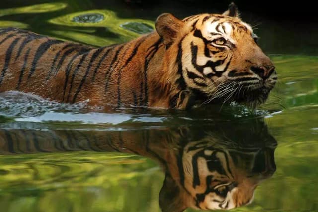 National Zoo of Malaysia