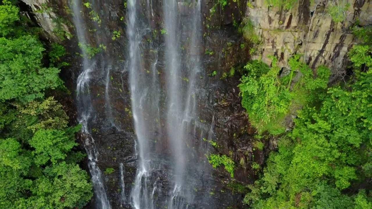 ANIMAL WORLD OF LANGKAWI