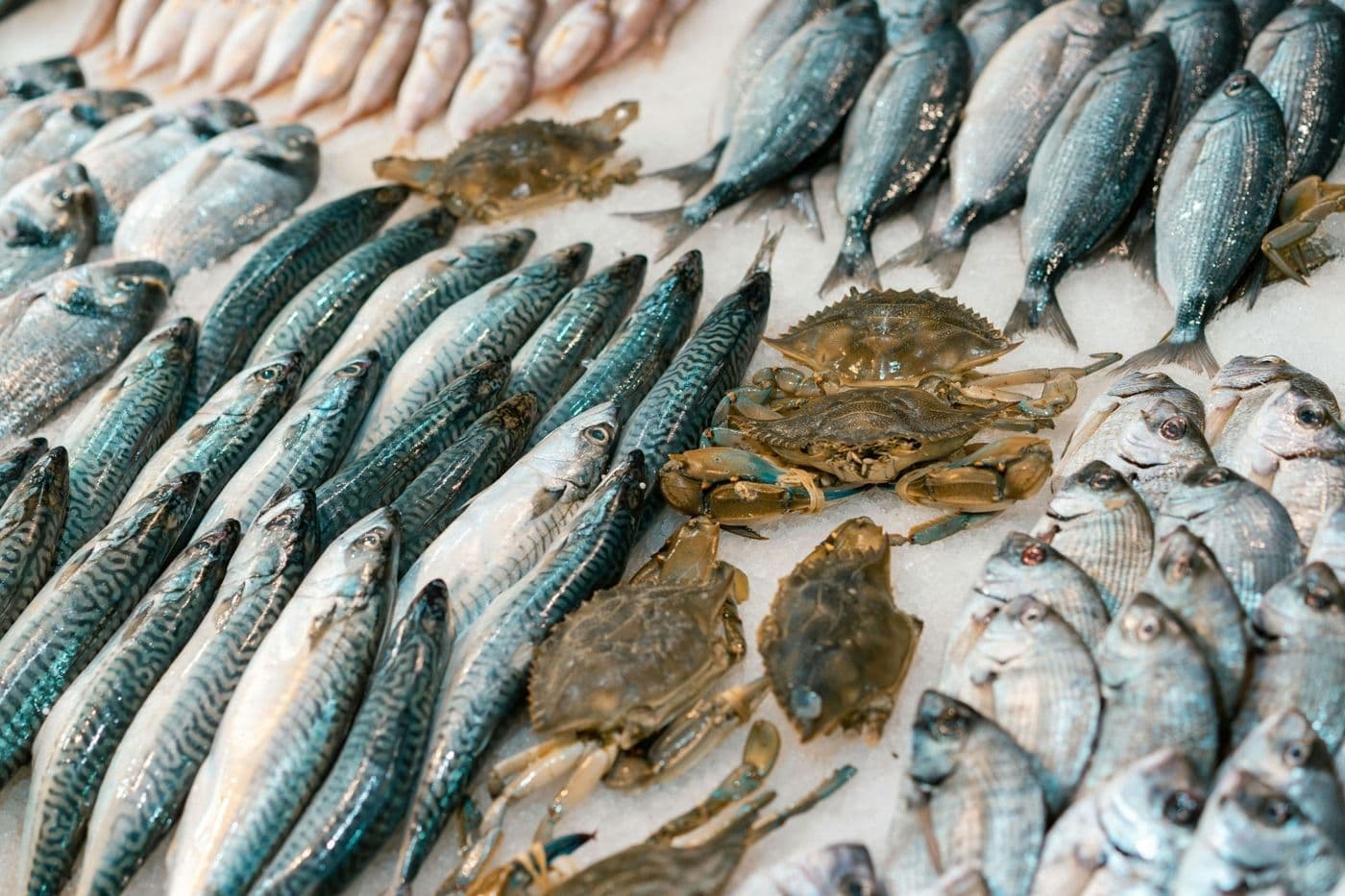 Fishing In Langkawi