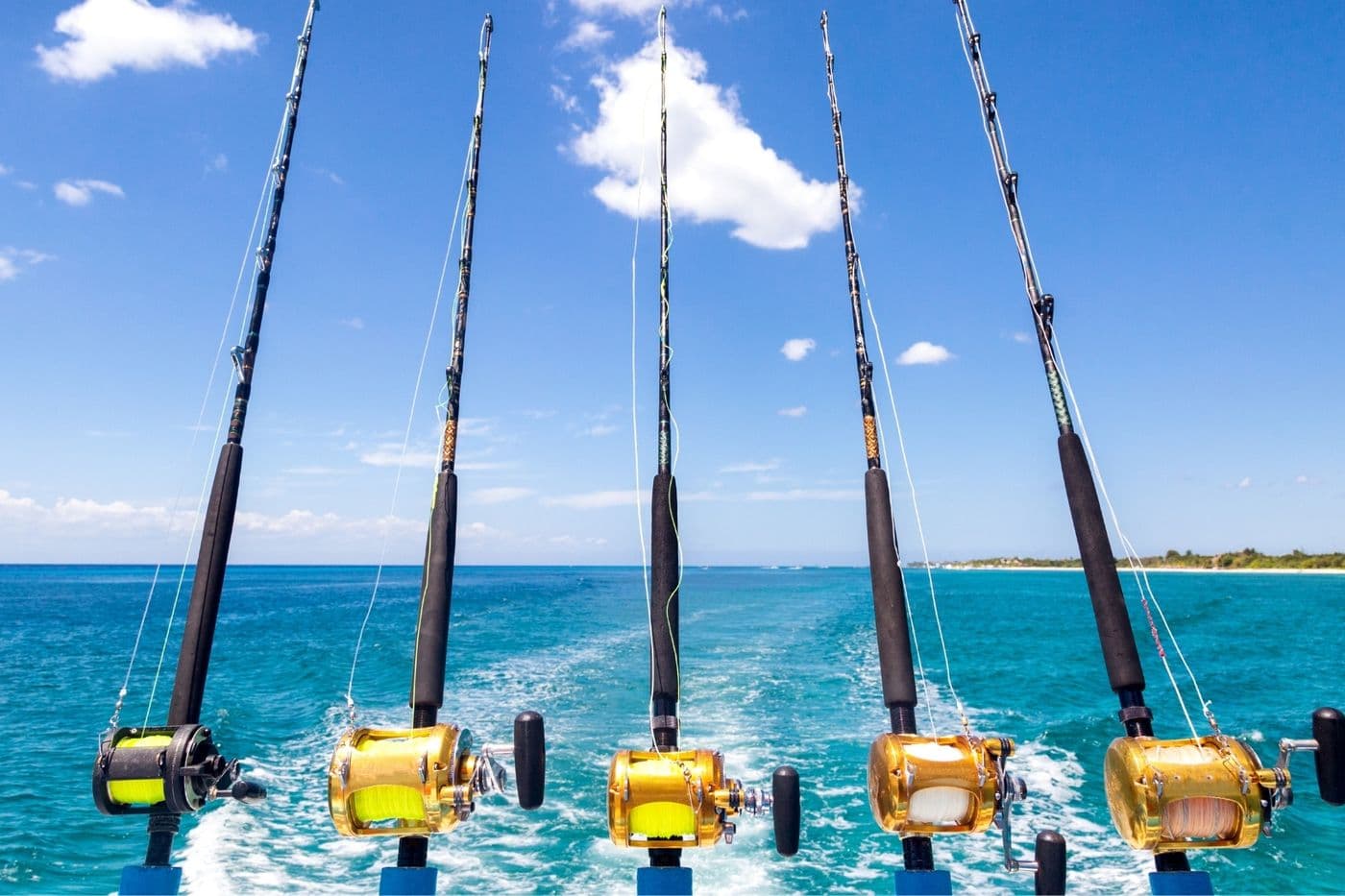 Fishing In Langkawi