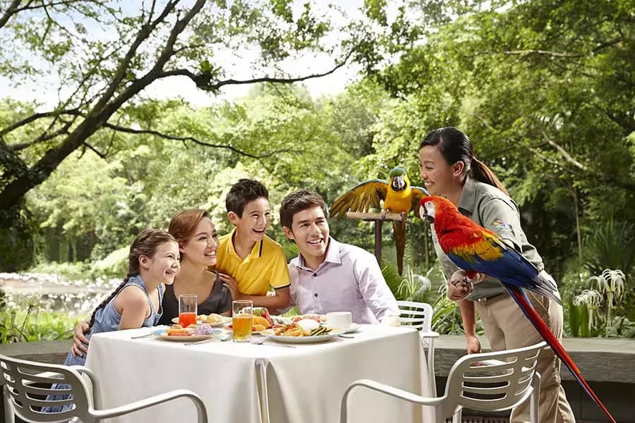 Jurong Bird Park Admission