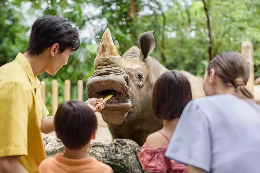 Singapore Zoo Tickets