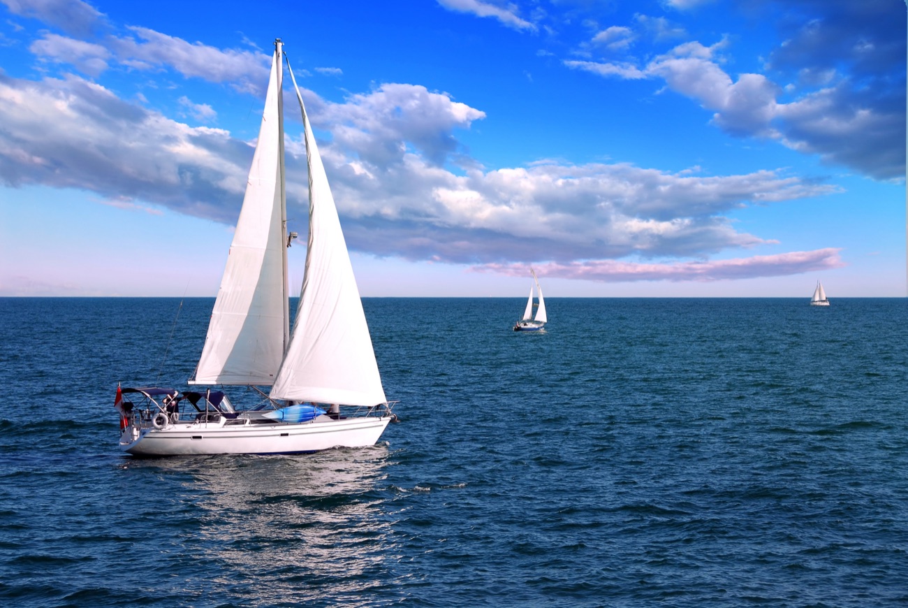 Dolphin & Marine Excursions (seasonal)