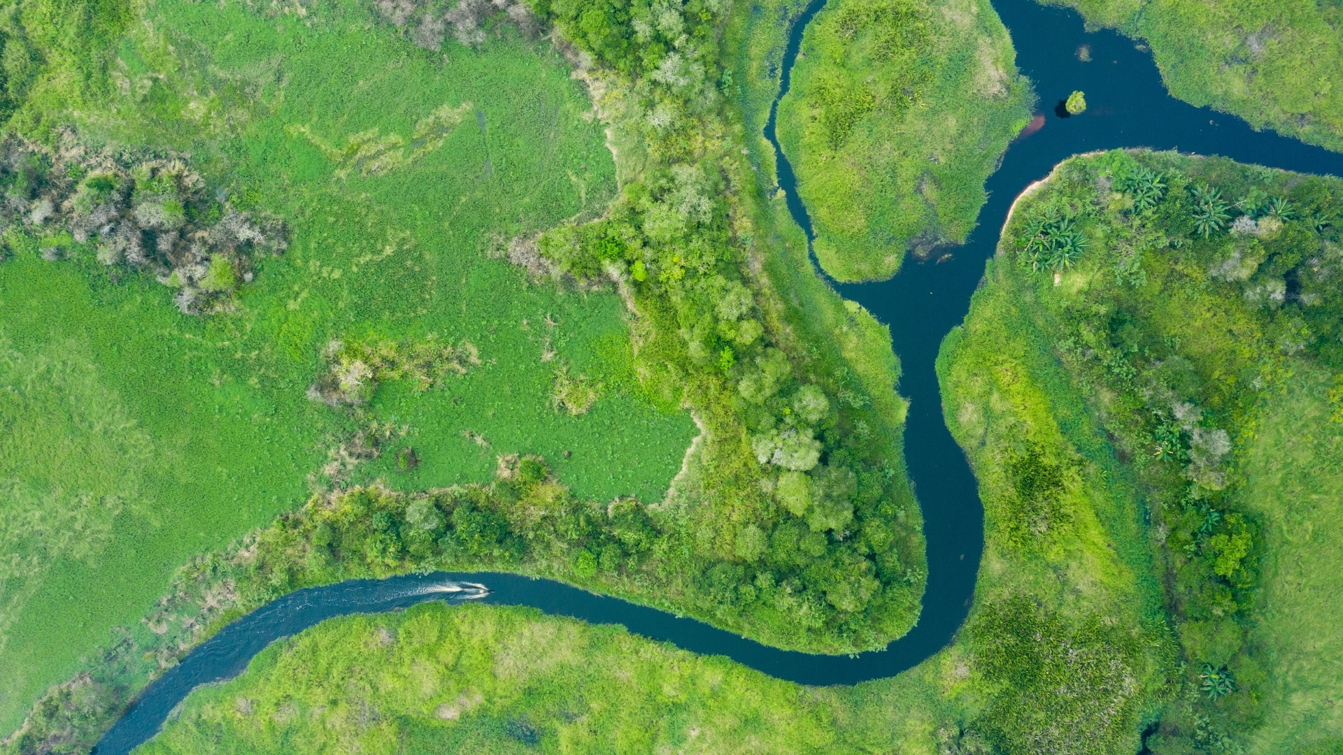 Kinabatangan River wildlife safari