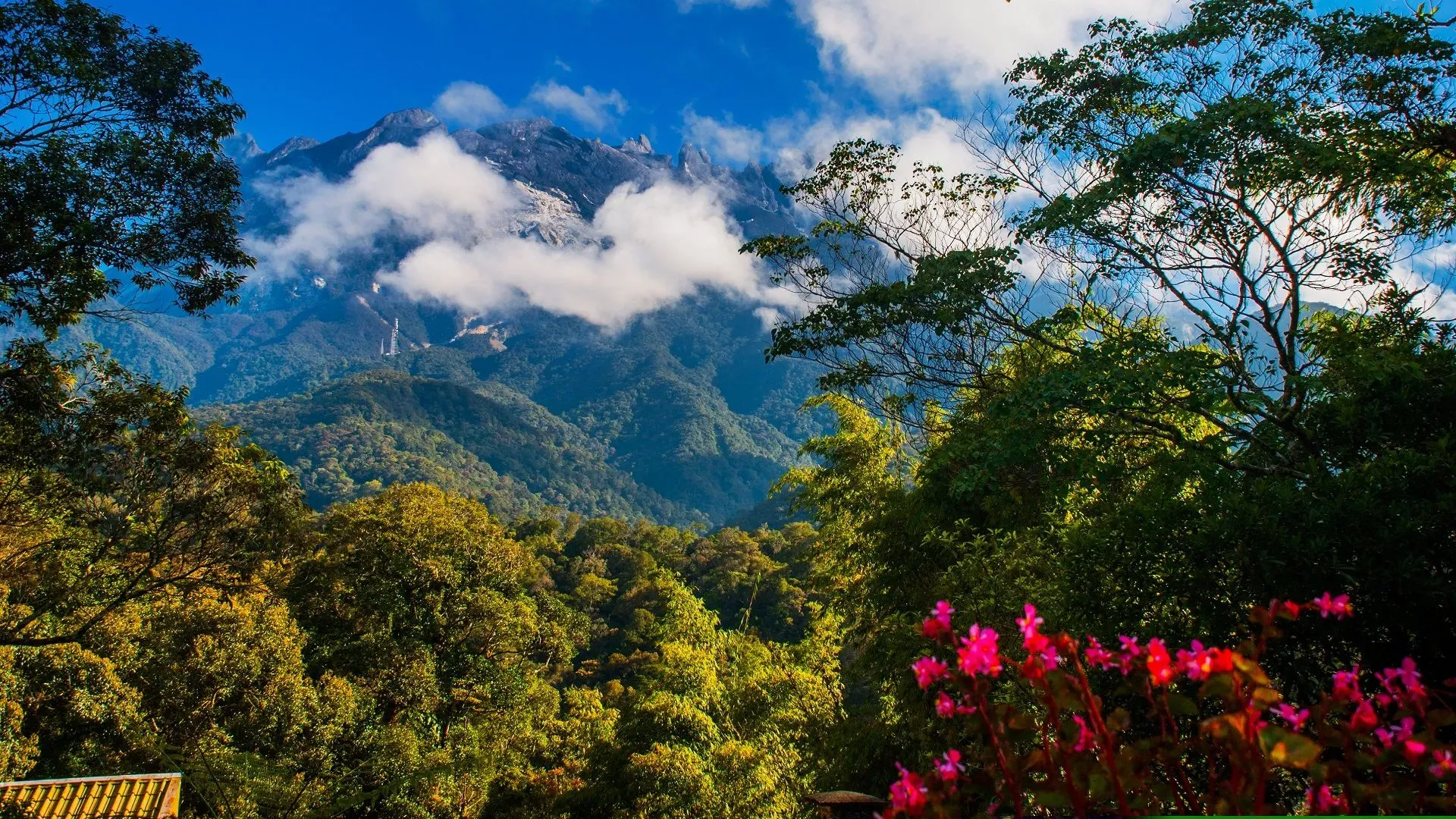 Kinabalu Park & Hot Springs