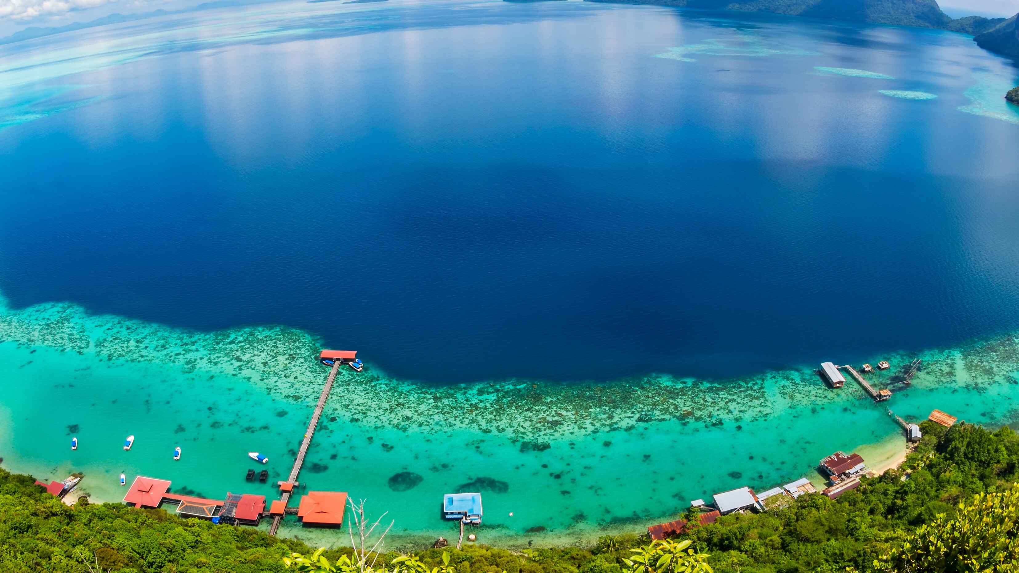 Sandakan Tour, In Search Of Proboscis Monkeys And Orangutans
